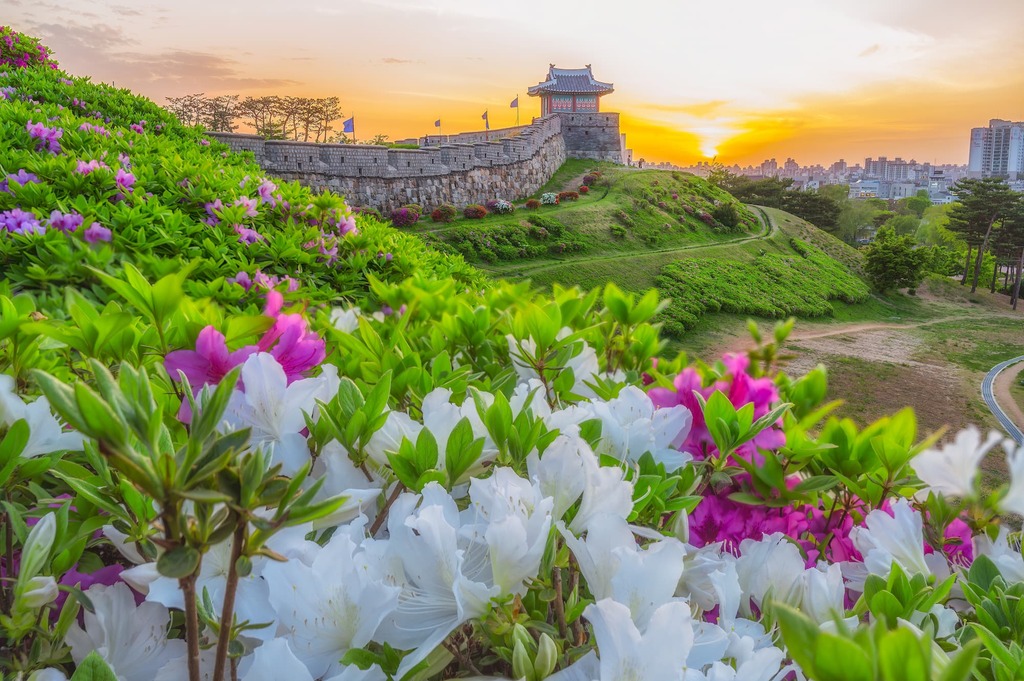 Forteresse de Hwaseong