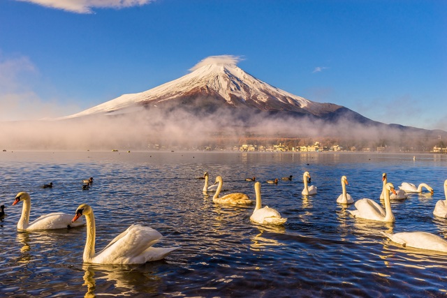 Le mont Fuji vu du lac Yamanaka