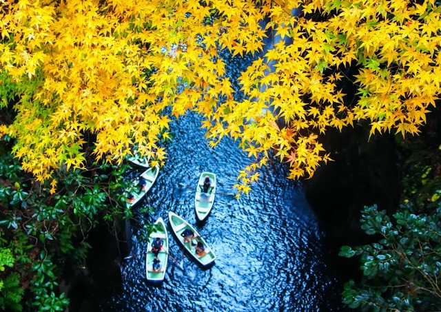 Navigation à rames dans les gorges de Takachiho