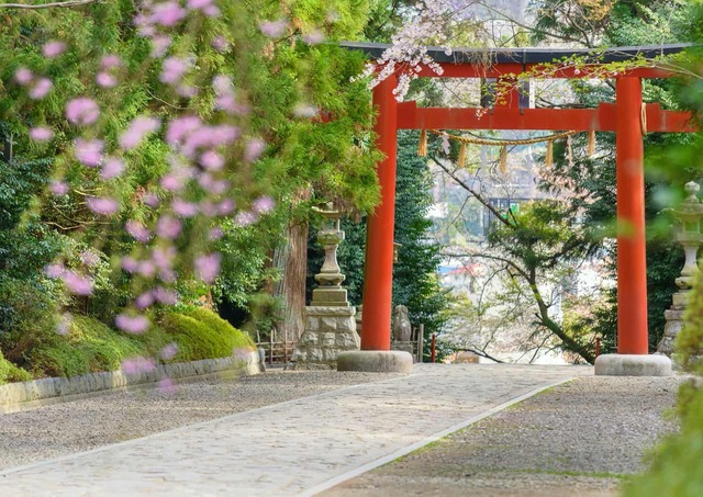 Torii du sanctuaire Osaki Hachimangu, Sendai