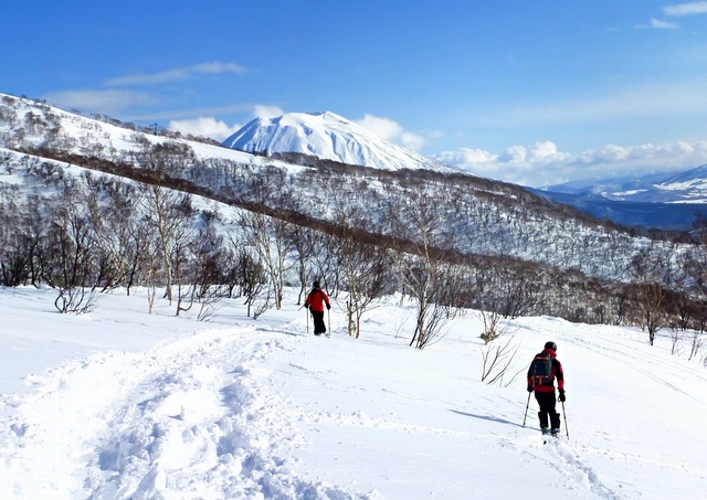 Ski hors-piste à Niseko