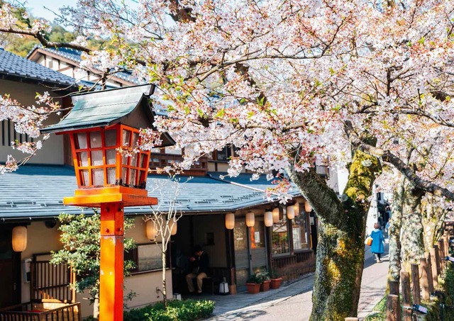 Village de Kinosaki Onsen au printemps, avec les cerisiers en fleurs
