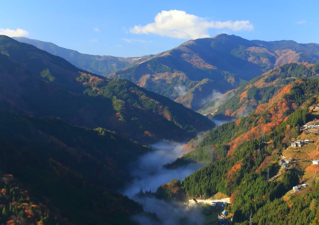 Unkai, célèbre « mer de nuages » de la vallée d'Iya