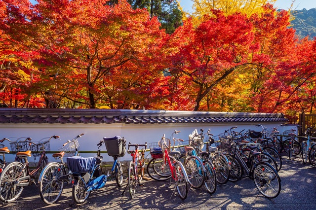 Vélos Kyoto