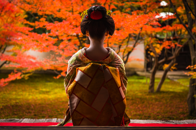 Dîner avec une maiko, Kyoto