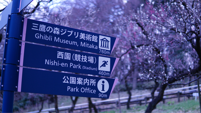 Visite du musée Ghibli