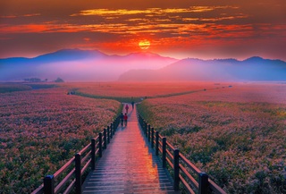 Baie de Suncheon, Yeosu