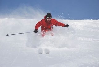 Hors-piste à Niseko
