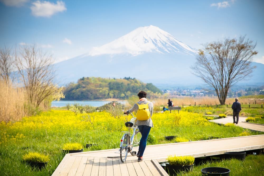 Mont Fuji enneigé et jardin de fleurs le long du pont en bois au lac Kawaguchiko au Japon