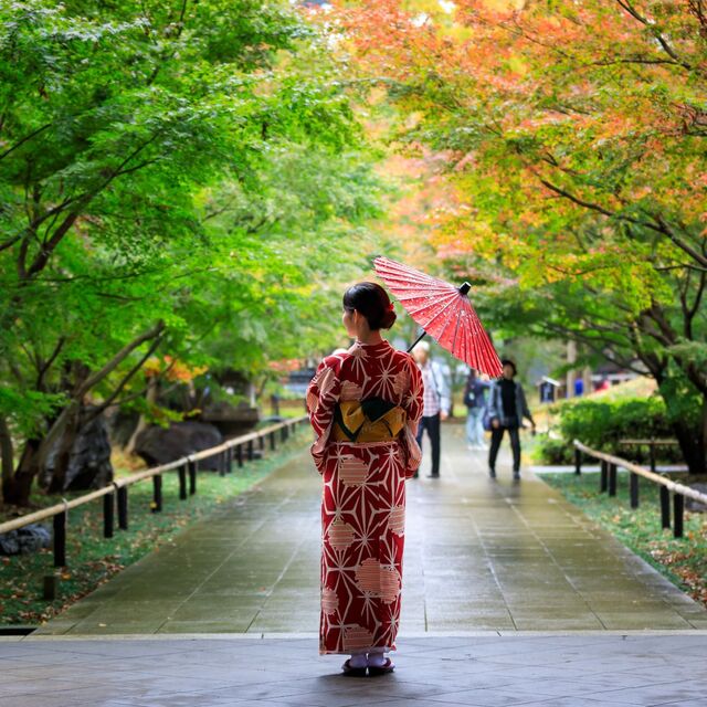 Femme japonaise en kimono rouge tenant un parapluie, marchant tranquillement dans un parc public avec des feuilles d'automne au Japon.
