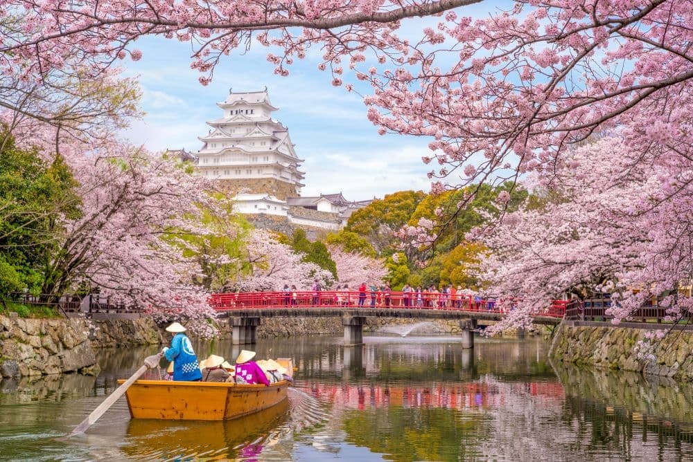 Japon Château de Himeji , Château du Héron Blanc à la belle saison des cerisiers en fleurs de sakura