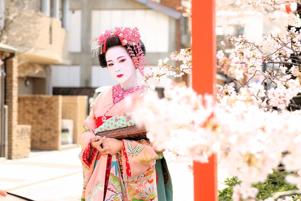 Maiko sur une route de sakura avec un parapluie rose