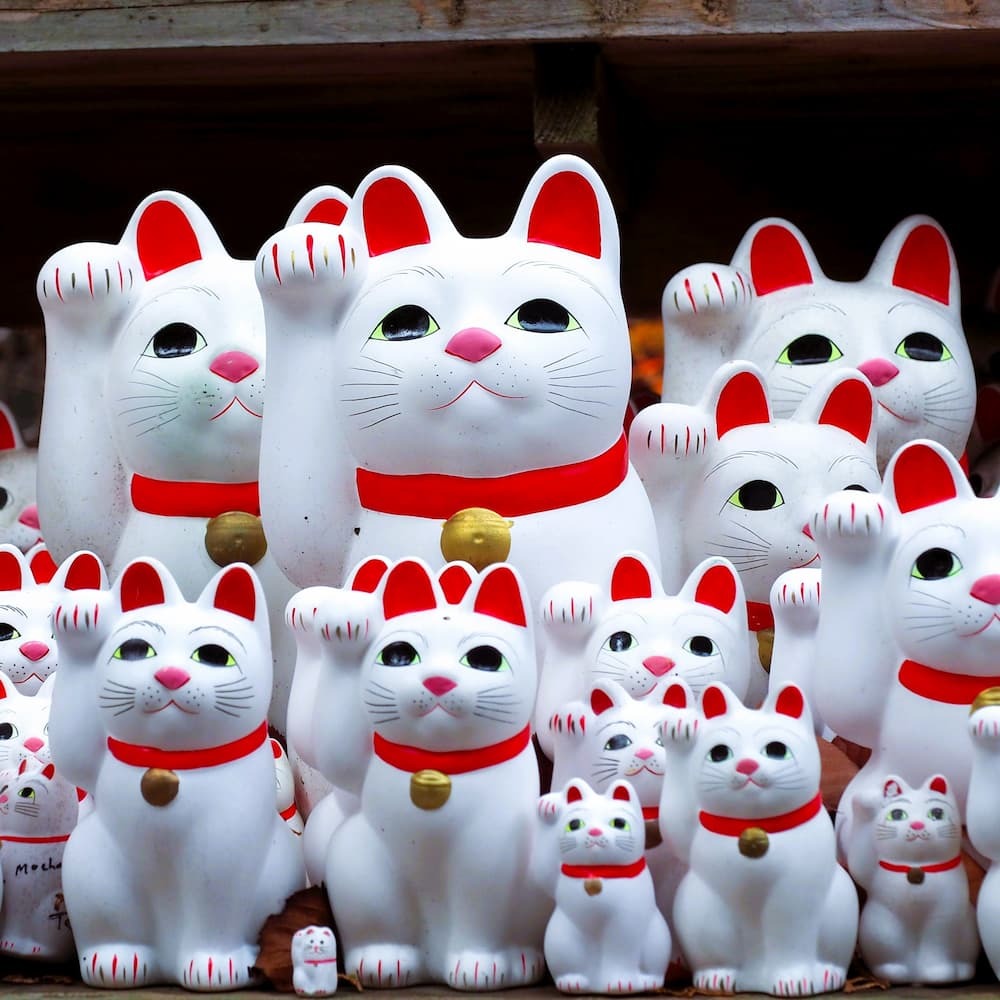Chats chanceux Maneki-neko au sanctuaire Goutokuji, Tokyo, Japon