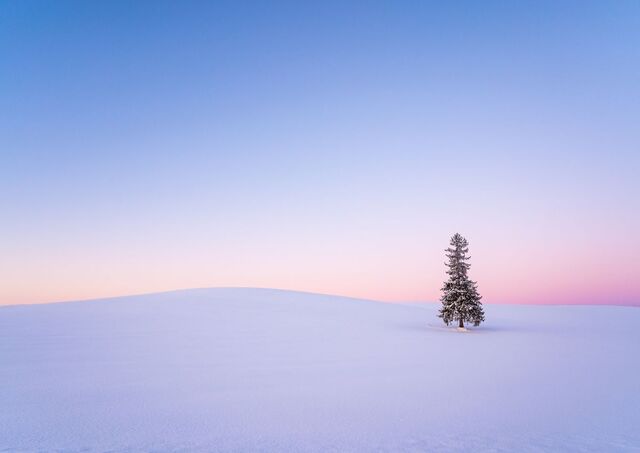 Paysage enneigé de la région de Biei au coucher du soleil, Hokkaido, Japon