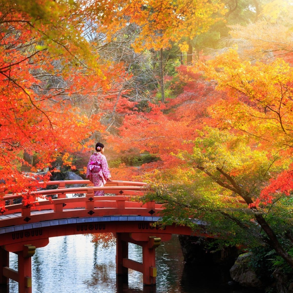 femme traversant le pont en automne