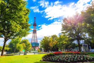 Tour de télévision de Sapporo et parc Odori
