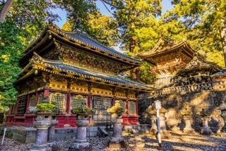 Nikko 