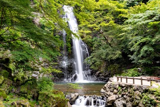 Cascade de Minoo, près d’Osaka