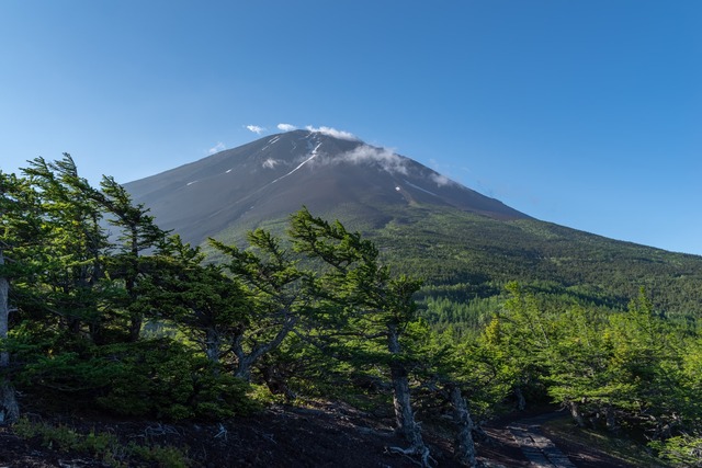 Vue du mont Fuji depuis la 5e station