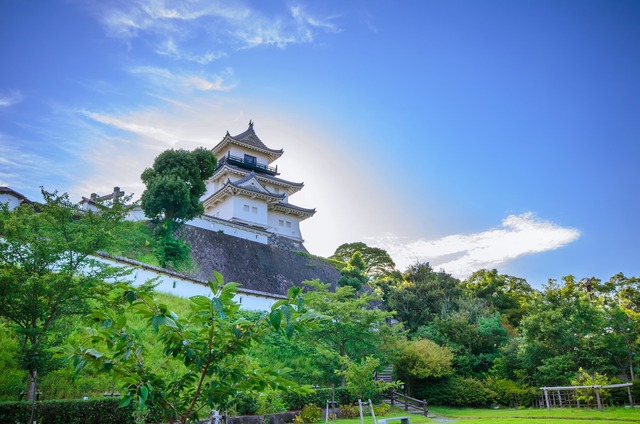 Château de Kakegawa 
