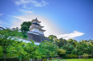 Château de Kakegawa 