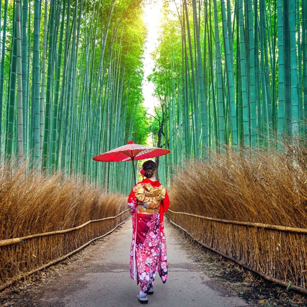 Femme en kimono dans la bambouseraie d’Arashiyama, Kyoto