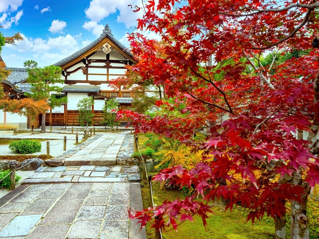 Temple Tenryuji, Kyoto  