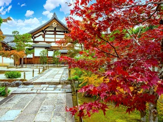 Temple Tenryuji, Kyoto  