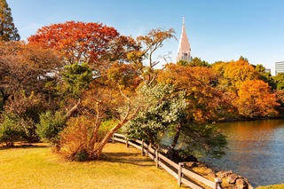 Parc Shinjuku Gyoen 