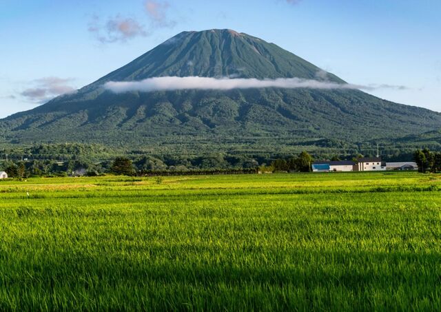 Mont Yotei et rizières, Hokkaido