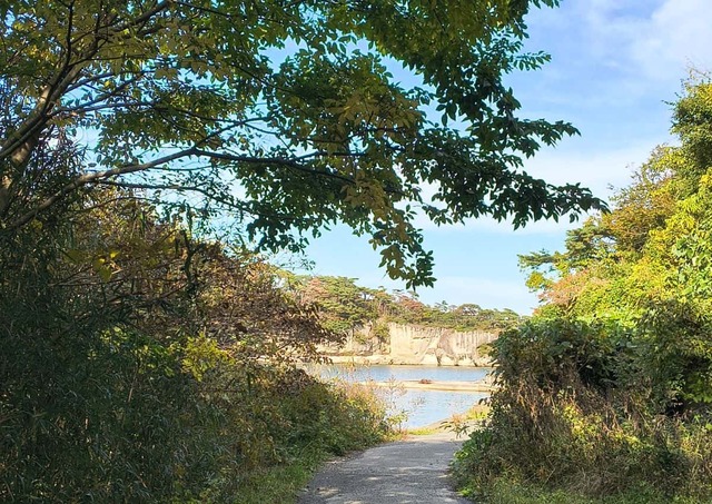 146th Shinyo Corps Base, Miyagi (Photo : Ambre Taga)