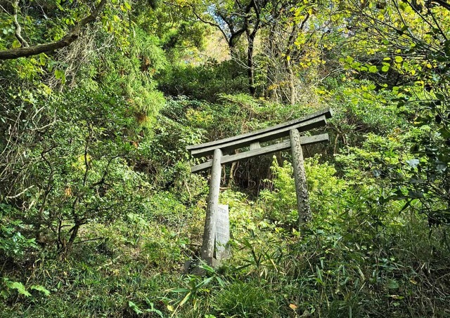 146th Shinyo Corps Base, Miyagi (Photo : Ambre Taga)