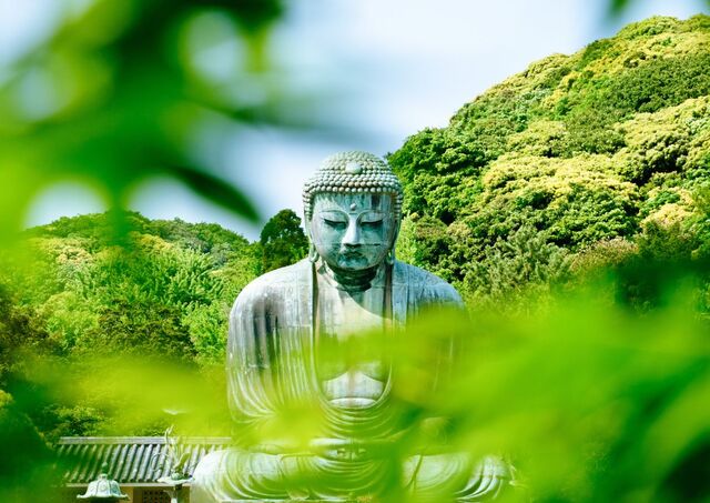 Grand Bouddha de Kamakura en été