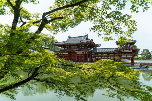 Temple Byodo-in et érable japonais, Uji 