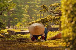 Jardinier du jardin Kenrokuen, Kanazawa 