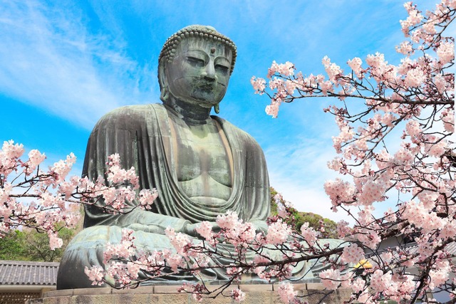 Grand bouddha de Kamakura au printemps 