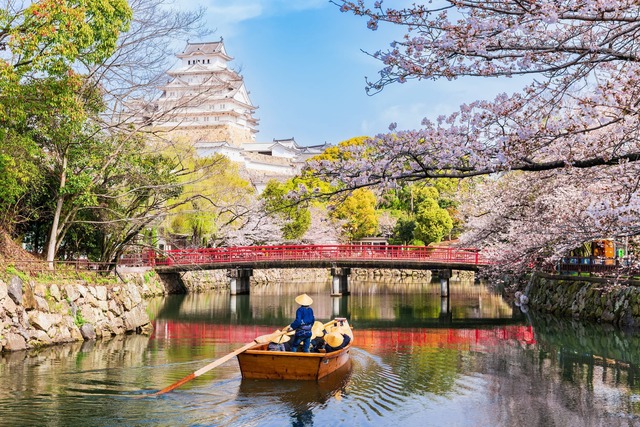Château d’Himeji au printemps 