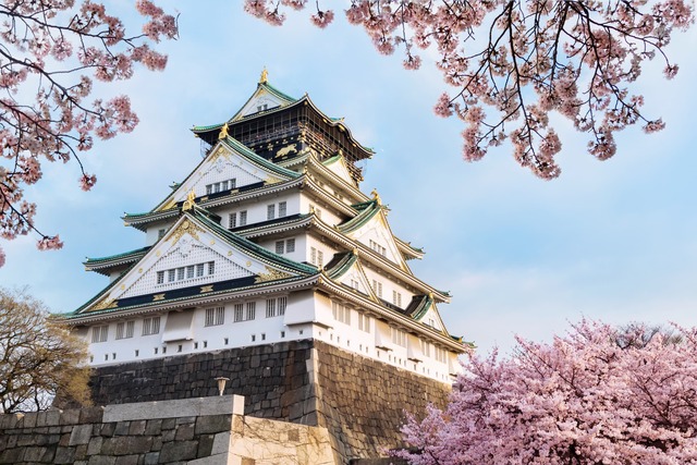 Château d’Osaka entouré de cerisiers en fleur 