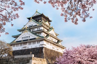 Château d’Osaka entouré de cerisiers en fleur 