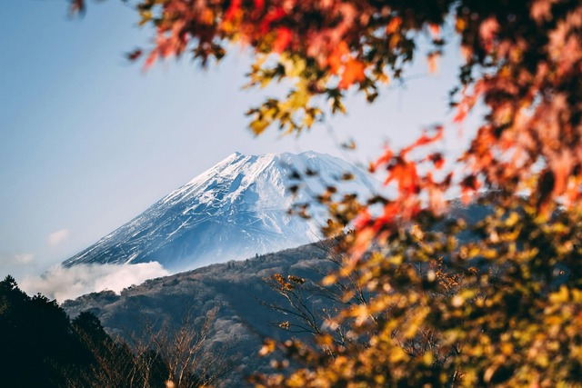 Mont Fuji en automne 