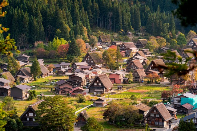 Village de Shirakawa-go 