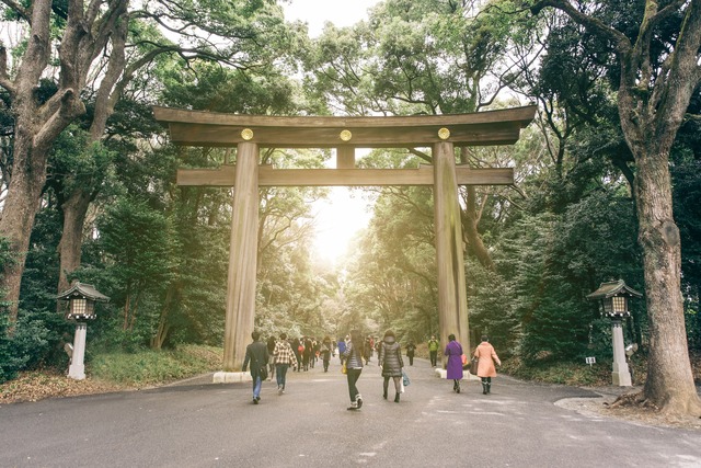 Torii du sanctuaire Meiji Jingu à Tokyo 