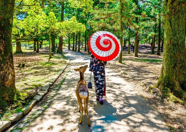 Femme en kimono avec des cerfs à Nara