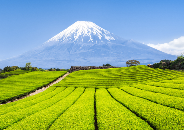 Vue sur le mont Fuji depuis Oshino Hakkai