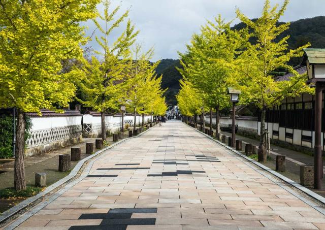 Rue Tonomachi, Tsuwano