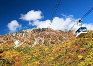 Route alpine de Tateyama Kurobe à l'automne