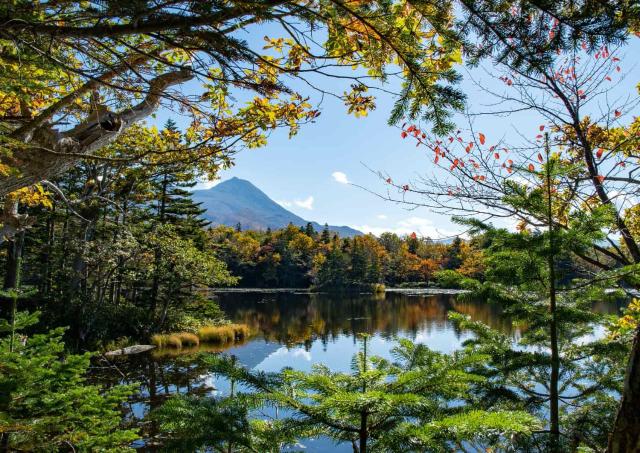 Parc national de Shiretoko