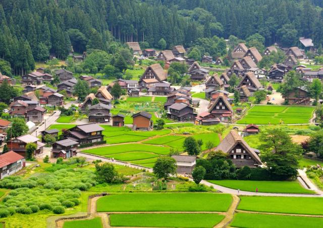 Le village d'Ogimachi en été