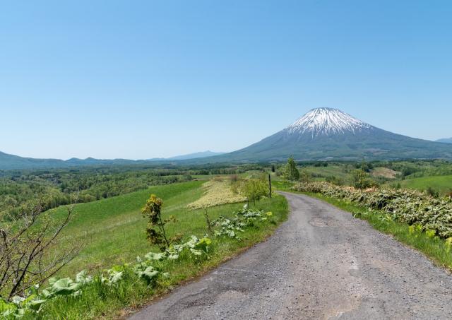 Mont Yotei, Niseko