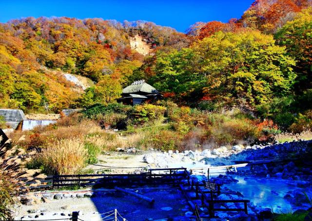 Sources chaudes naturelles (onsen)